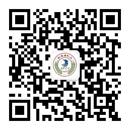 1583464372340698.jpg
